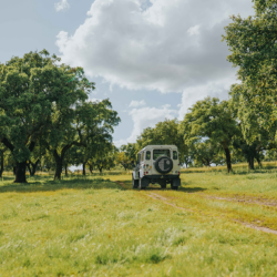 Wine_Tours_Evora_Magik_Tours