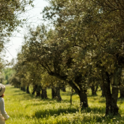 Wine_Tours_Evora_Magik_Tours_Portugal_Alentejo