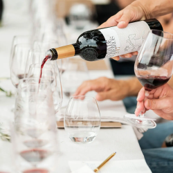 Wine_Tours_Evora_Magik_Tours_Portugal_Alentejo