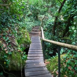 hiking_sintra_tour