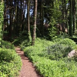 hiking_sintra_tours