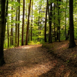 portugalmagik_hiking_sintra