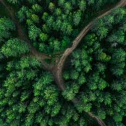 sintra_tour_hiking_portugal-magik