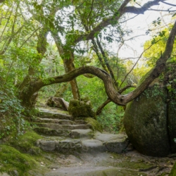 tours_sintra_hiking-portugal