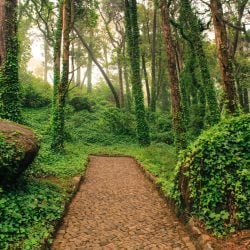 tours_sintra_hiking_private_lisbon_portugal