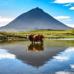 Portugal Magik Azores Islands Tours