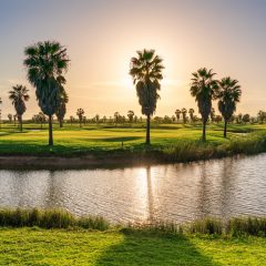 real_estate_portugal_tour