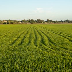 comporta_day_trips_lisbon