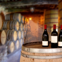 Douro_Valley_Private_Tours_Wine_Porto