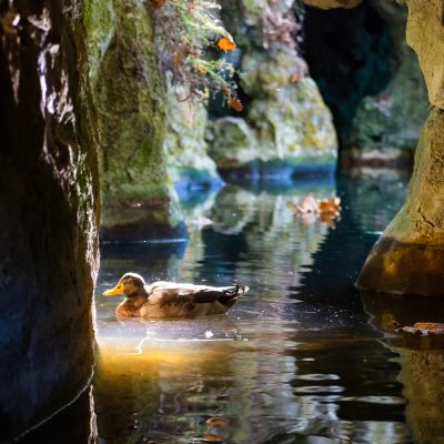 BestSeller Private Tours of Portugal by Portugal Magik