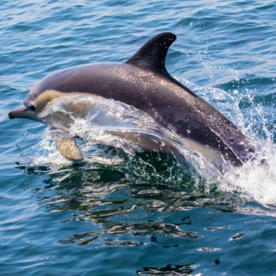 BestSeller Private Tours of Portugal by Portugal Magik