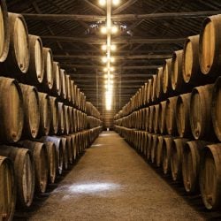 port_wine_tasting_cellar_lisbon_porto