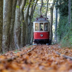 Sintra Half-Day Private Tram Rental / Exclusive Tram Tours