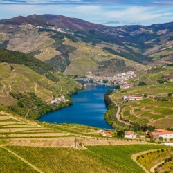 Guided Tours in Douro Valley with Portugal Magik