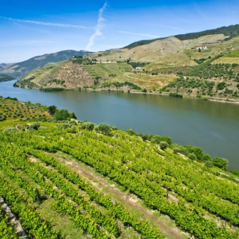 Douro-Valley-Tours-Trips-Portugal_Travel