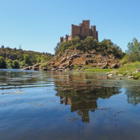 Almourol Castle + Olive Oil Tasting Experience / Half-Day Private Tour