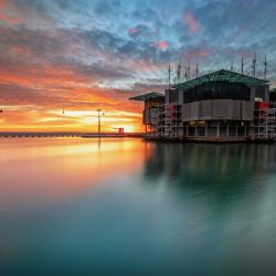 Half-Day Private Tour Oceanarium of Lisbon + Cable Car