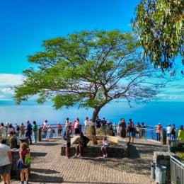 Madeira_Island_Private_Tours