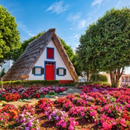 Madeira_Island_Private_Tours