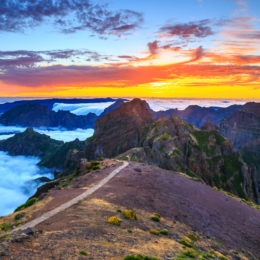 Madeira_Island_Private_Tours