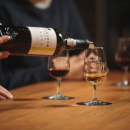 Evening/Night Tour of Porto + Port Wine Tasting + Fado Music Show + Dinner