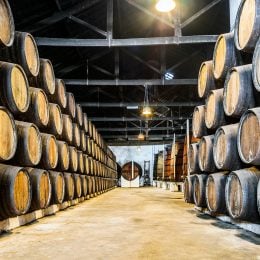 Evening/Night Tour of Porto + Port Wine Tasting + Fado Music Show + Dinner