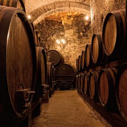 Evening/Night Tour of Porto + Port Wine Tasting + Fado Music Show + Dinner