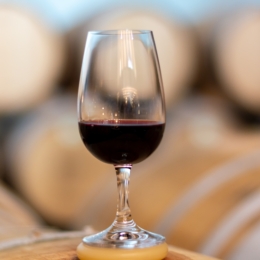 Evening/Night Tour of Porto + Port Wine Tasting + Fado Music Show + Dinner