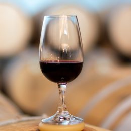 Evening/Night Tour of Porto + Port Wine Tasting + Fado Music Show + Dinner