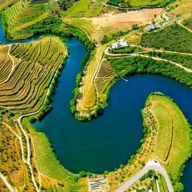 1-Day Itinerary in the Douro Valley: Portugal’s Wine Paradise