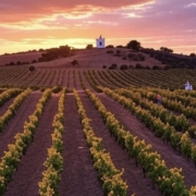 Cultural Heritage of Monsaraz and Surrounding Villages