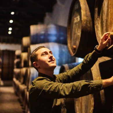 Best Wineries in Porto, Portugal – Where Urban Elegance Meets Centuries of Winemaking
